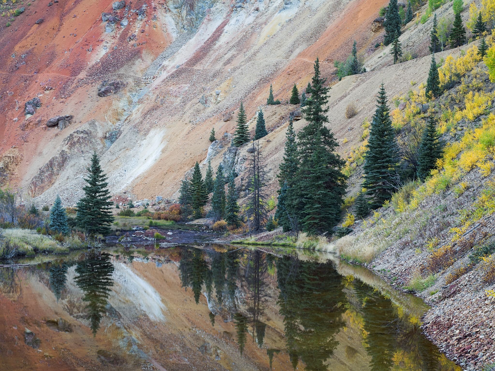 A small pond at the foot of a scree slope catches a perfect reflection of evergreen trees and fall color on a sunny afternoon — no wind, every detail doubled in still water, Colorado. Photograph by Marty Quinn