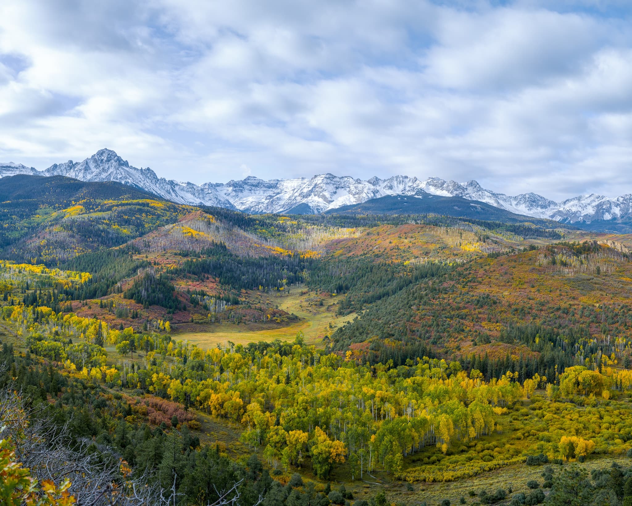 Looking toward the Sneffels Range from the high country of Colorado's San Juan Mountains on a clear fall morning — aspen color in the foreground, Mount Sneffels and the Sneffels Highline visible above treeline. Photograph by Marty Quinn