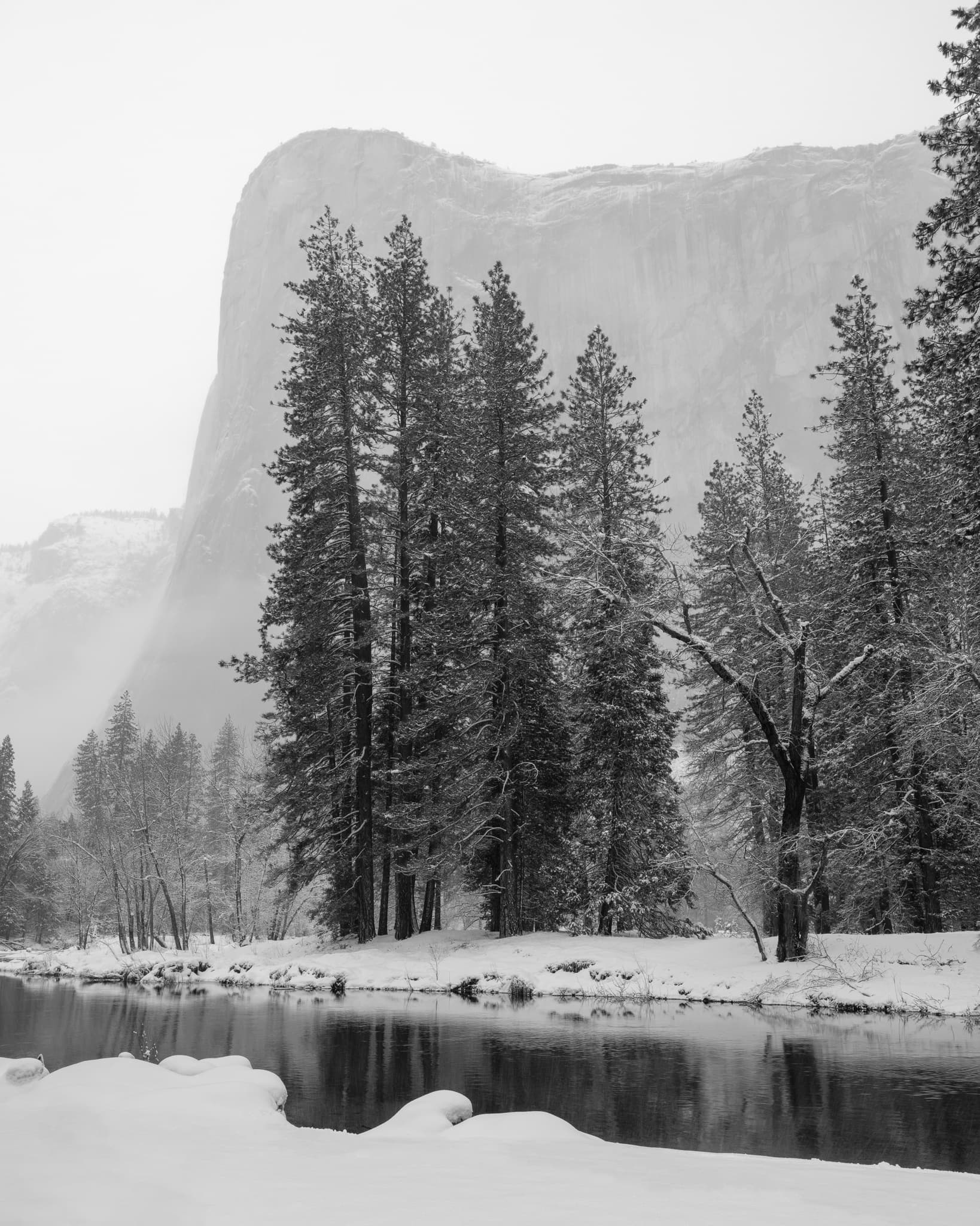 El Capitan in Yosemite during a winter storm — the granite wall emerging from low cloud while snow falls in the foreground, California. Photograph by Marty Quinn