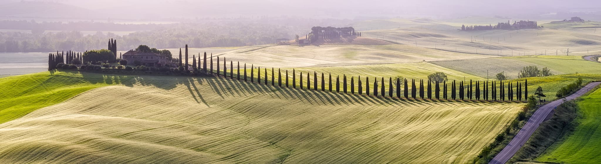 Cypress Avenue in Tuscany's Val d'Orcia at sunrise — the trees lit gold from the east while the road between them is still in shadow, International. Photograph by Marty Quinn
