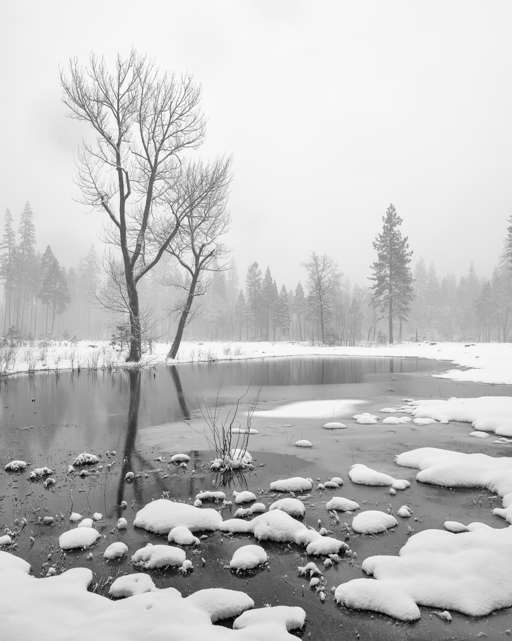 Oak trees reflected in a pond during a snowstorm at Cuyahoga Valley National Park in Ohio — partial ice, falling snow, and the reflection of bare winter trees, California. Photograph by Marty Quinn