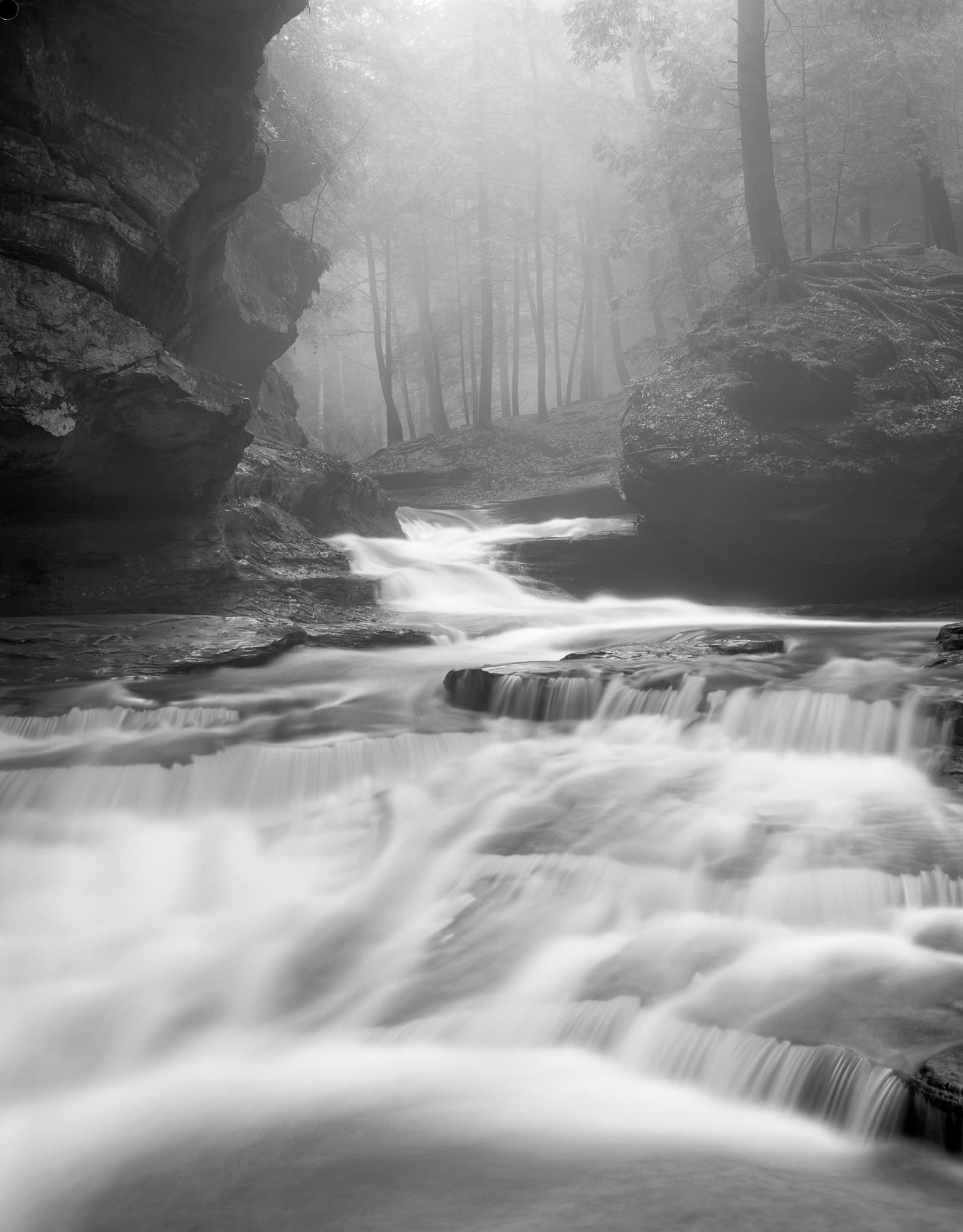 Old Man's Cave in Hocking Hills State Park, Ohio, on a foggy winter day. Photograph by Marty Quinn