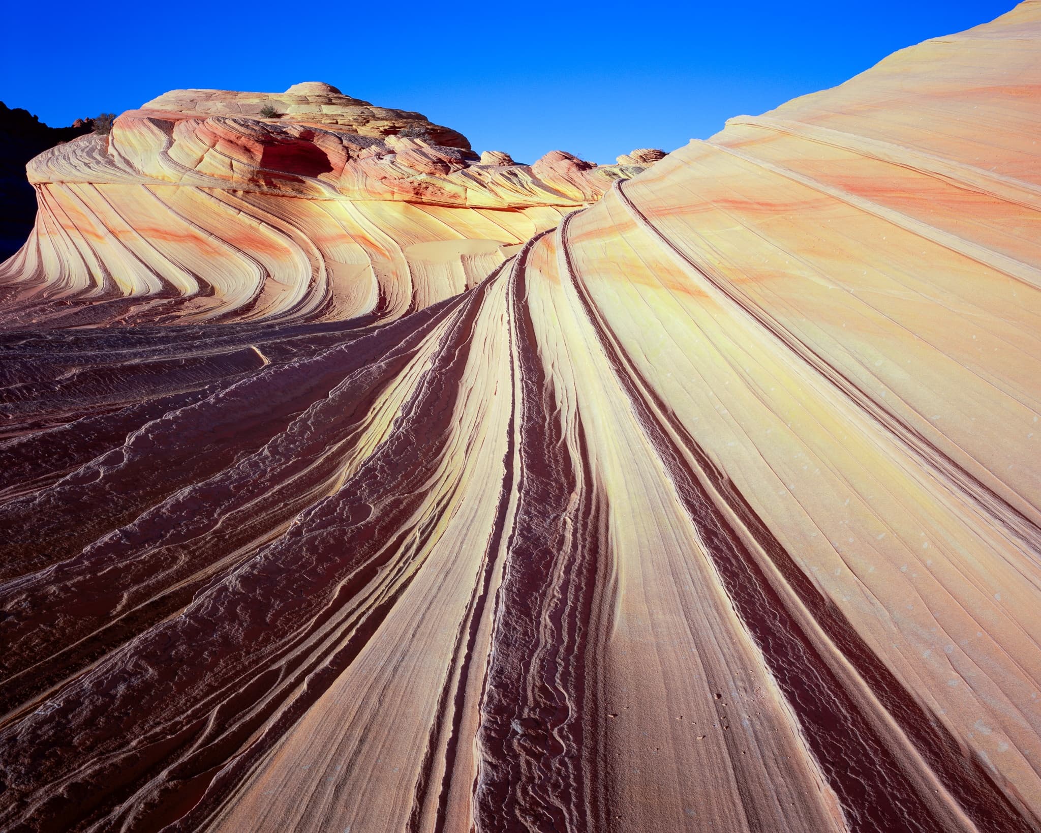The "Second Wave" formation in Coyote Buttes South, Arizona — layered Navajo sandstone that reads as a frozen wave in the last light of the day. Photograph by Marty Quinn