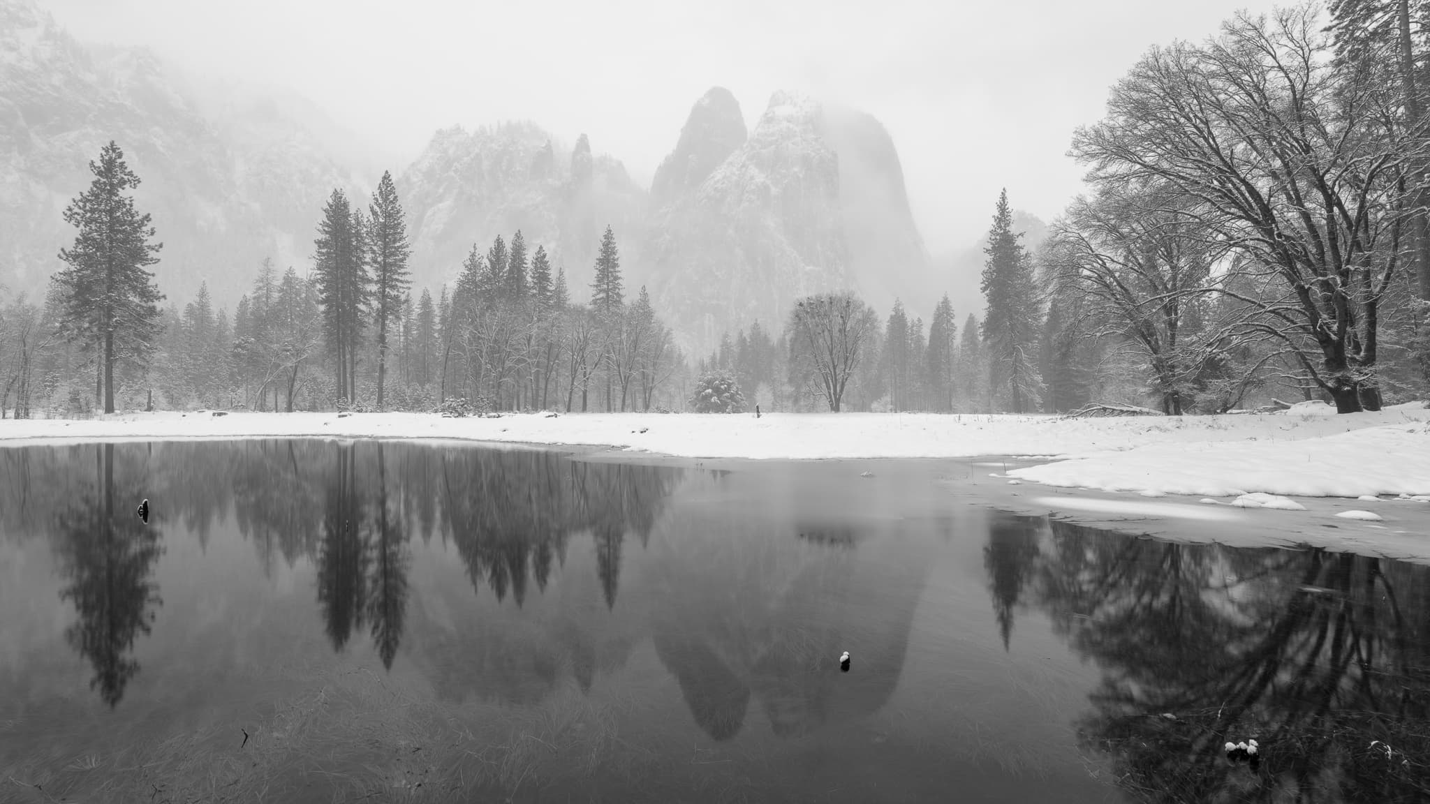 A small pond in Yosemite's high country reflects the granite walls in perfect stillness on a foggy winter morning, California. Photograph by Marty Quinn