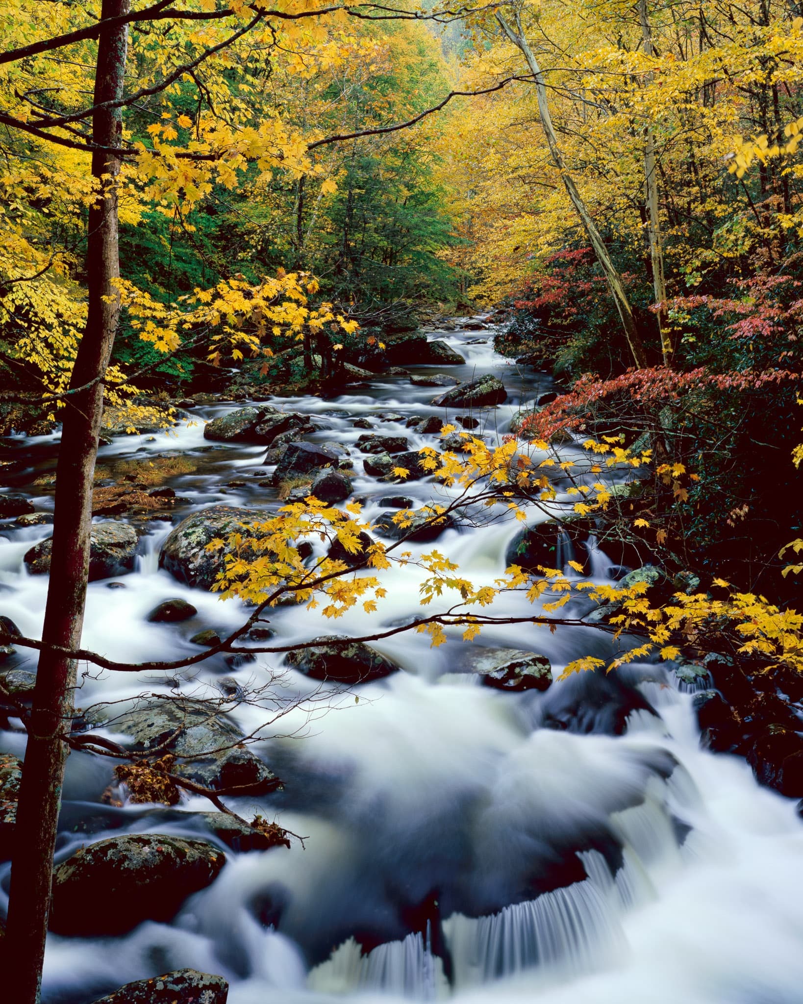 The Middle Prong Little River at Tremont in Great Smoky Mountains National Park, Tennessee — water over river rock in fall color. Photograph by Marty Quinn