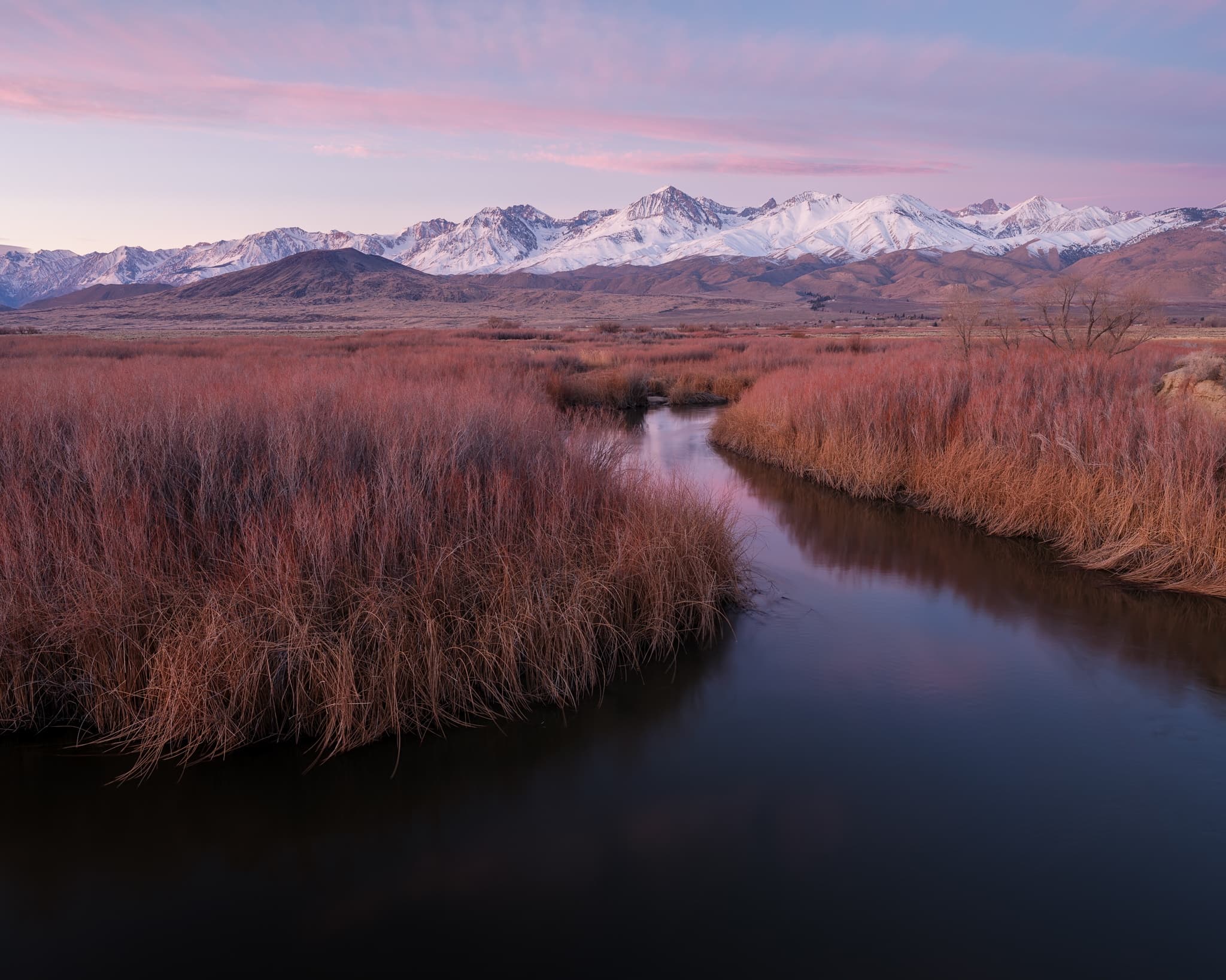The Owens River at dawn, still water reflecting a pink sky while the Sierra Nevada rises to the west, California. Photograph by Marty Quinn