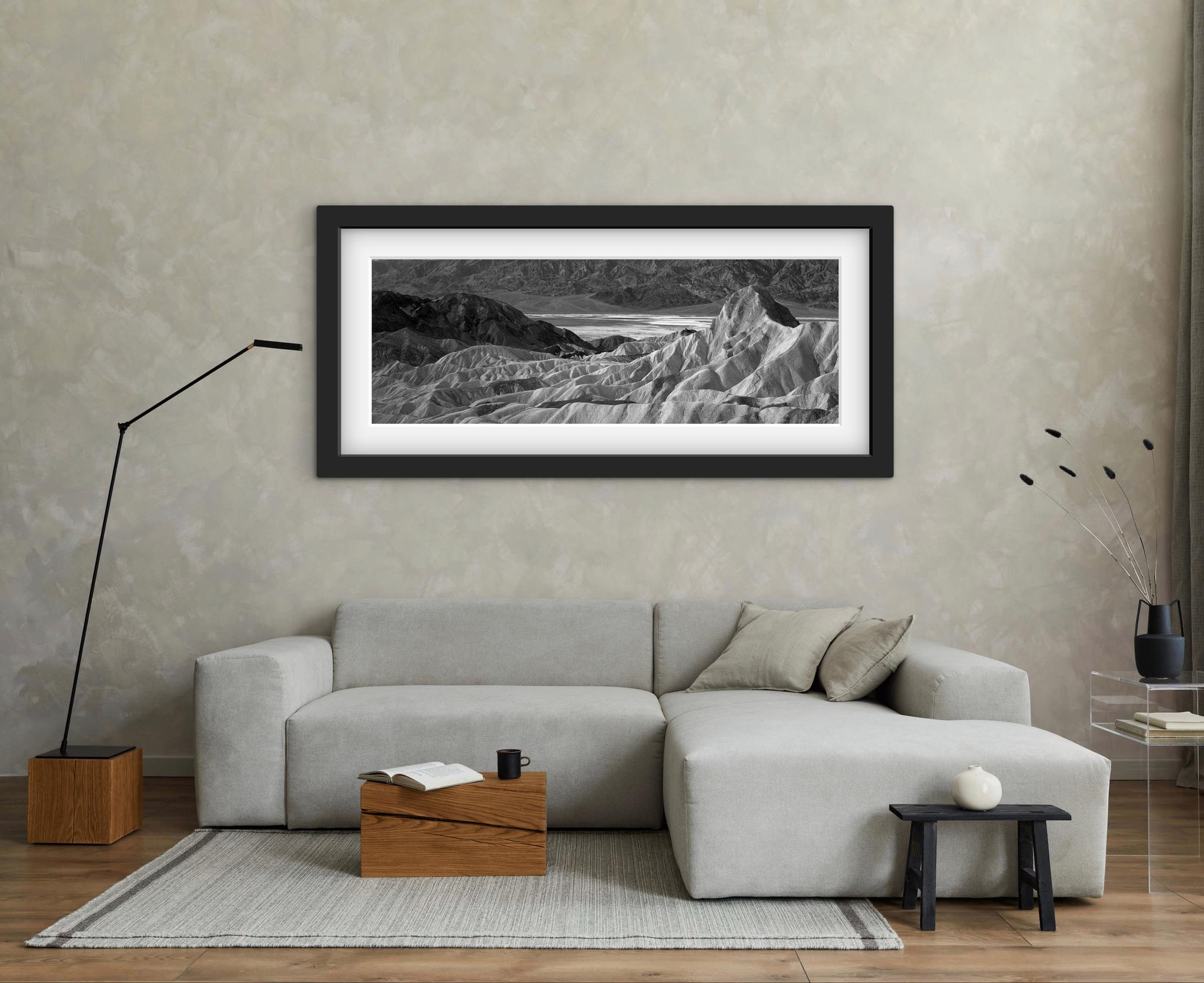 PRINT & DISPLAY OPTIONS