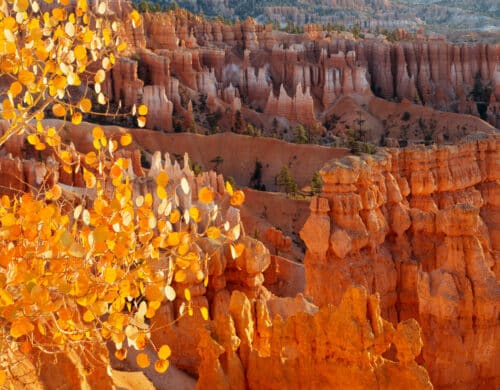 Bryce Fall