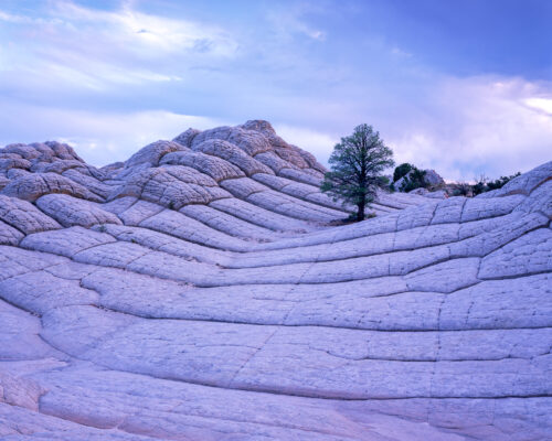 White Pocket Sunset