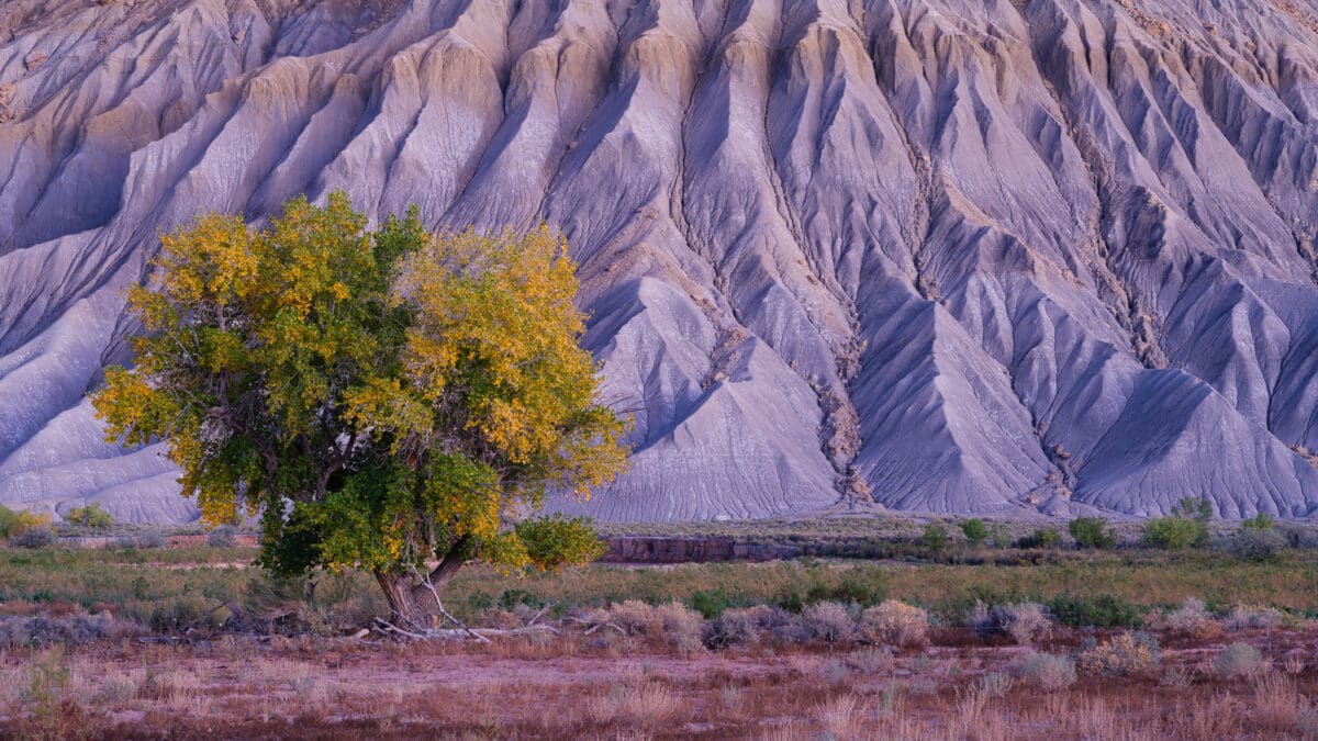 Fall at Blue Mesa